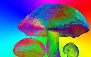 New study supports psilocybin’s potential as an antidepressant