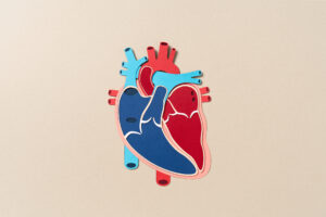 graphic of a heart