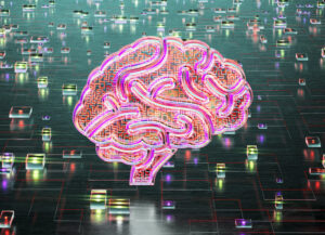 brain
