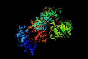 BCRA1