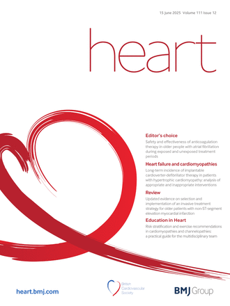 heart Heart journal cover