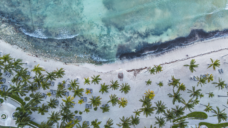 drone view of tropical beach with palm trees and turquoise waters