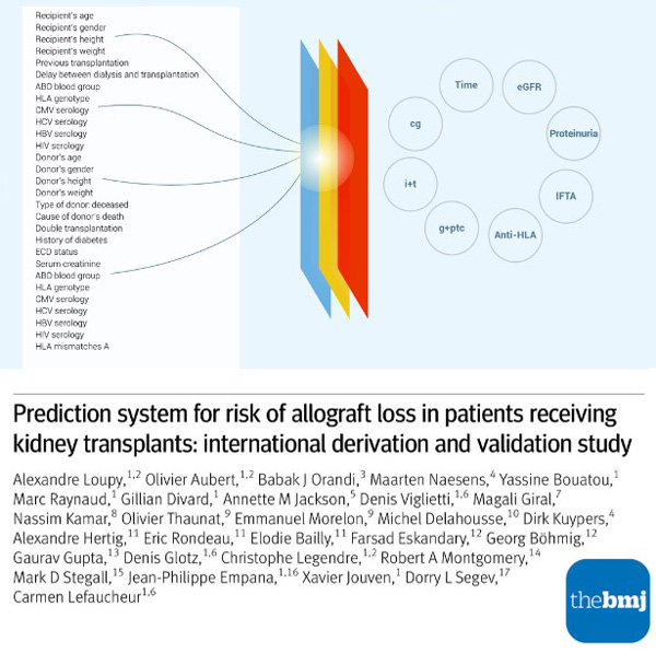article-Ibox-paris-transplant-group Loupy ibox The BMJ article