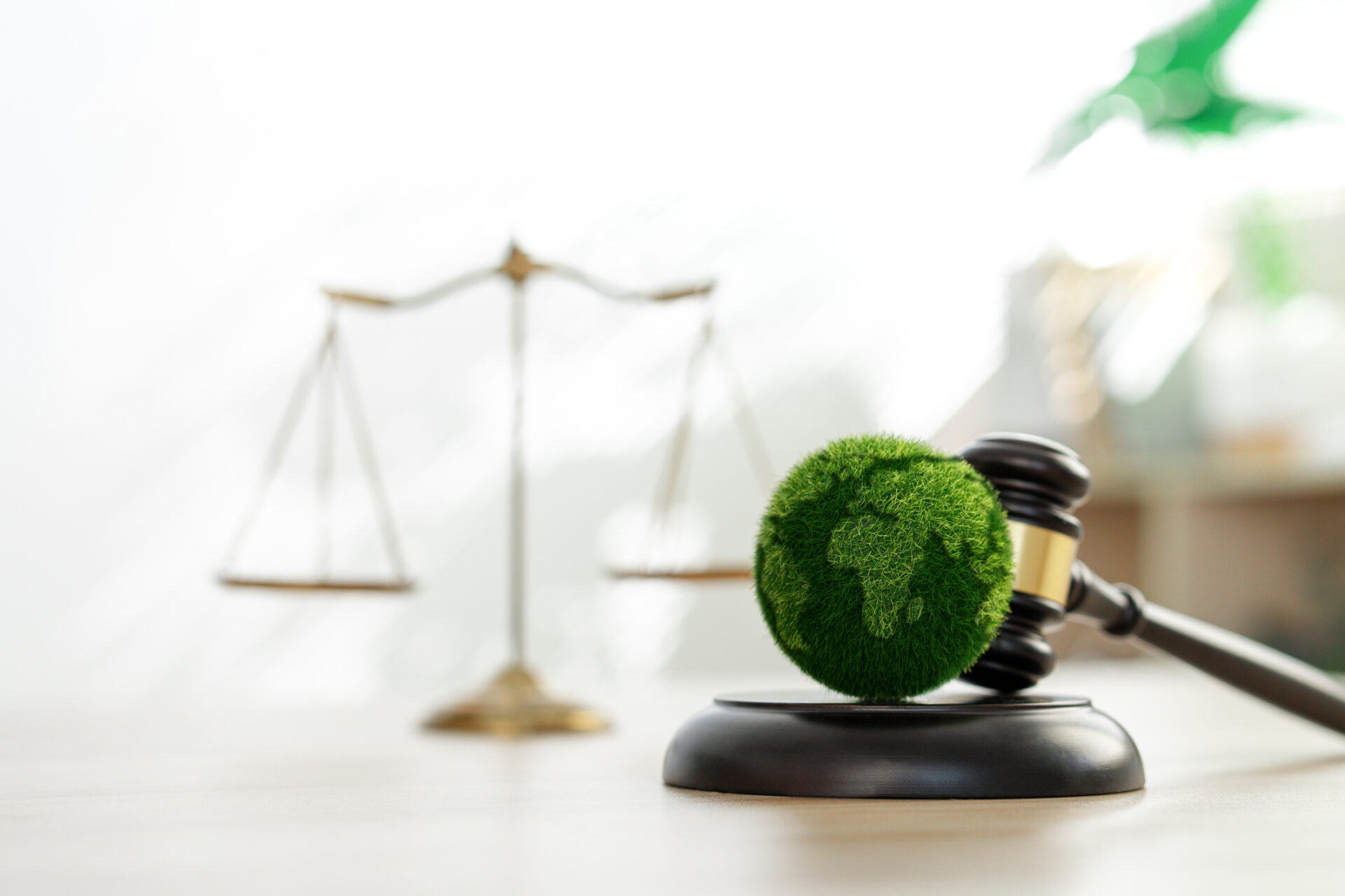 Green law concept international environmental law Climate or environmental justice Law on green forest conservation economy Environmental protection Legal hammer placed on the desk