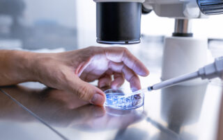 Close up In the fertility laboratory the Doctor preparing embryo cultivation plates