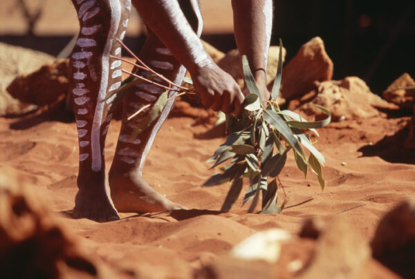 Ritual Medicine Dance