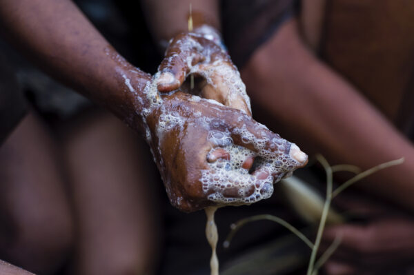 A San Bushmen woman using the pulp from a tuber root to make soap for washing her hands and face A San Bushmen woman using the pulp from a tuber root to make soap for washing her hands and face