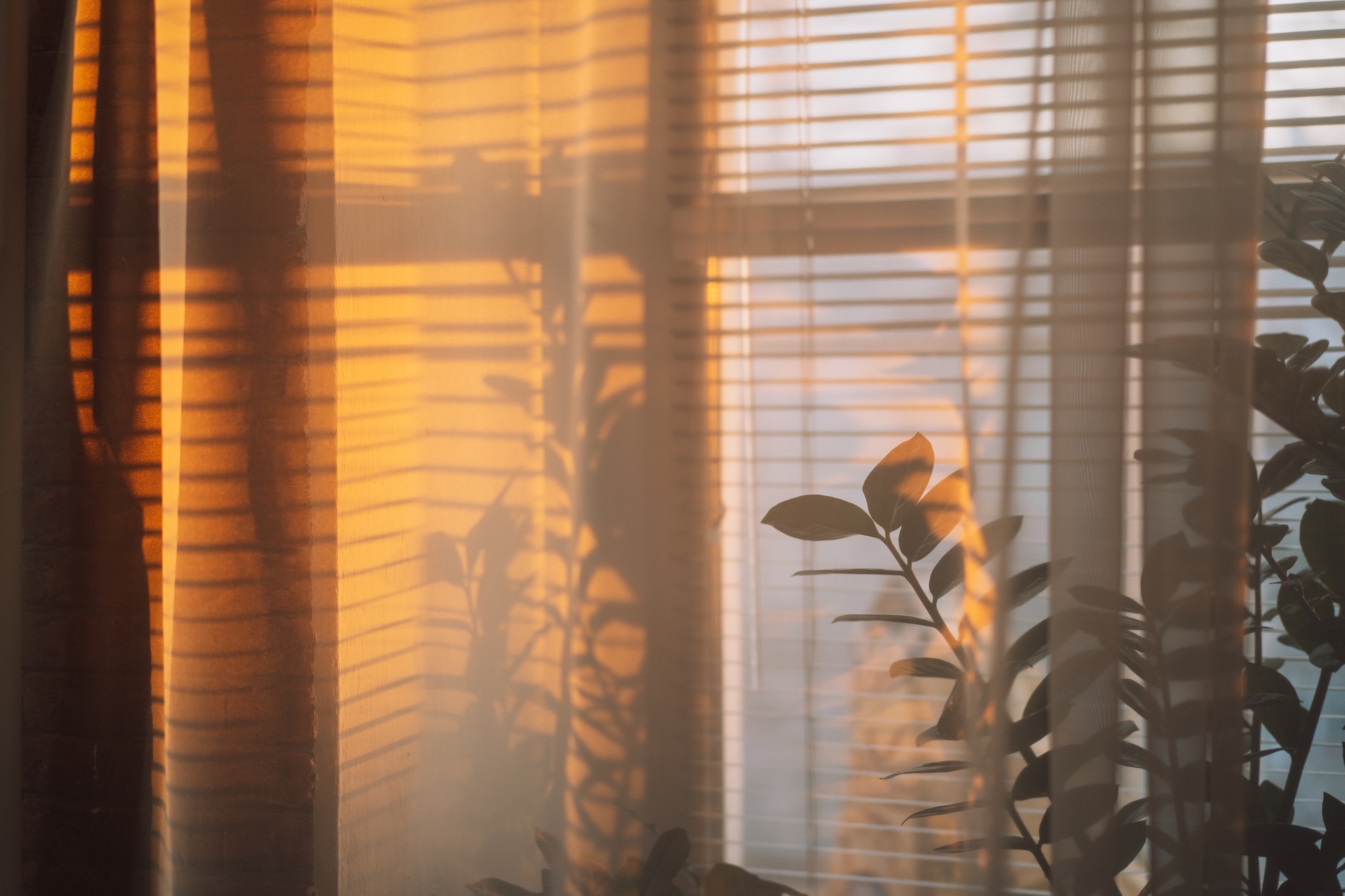 Patient partnership shaping national approaches to indoor air quality