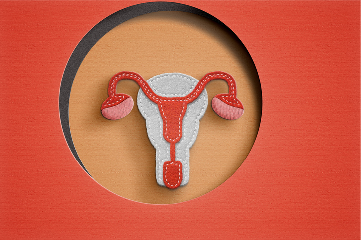 Stylized illustration of the female reproductive system (uterus, ovaries, fallopian tubes) in a circular window on an orange background.