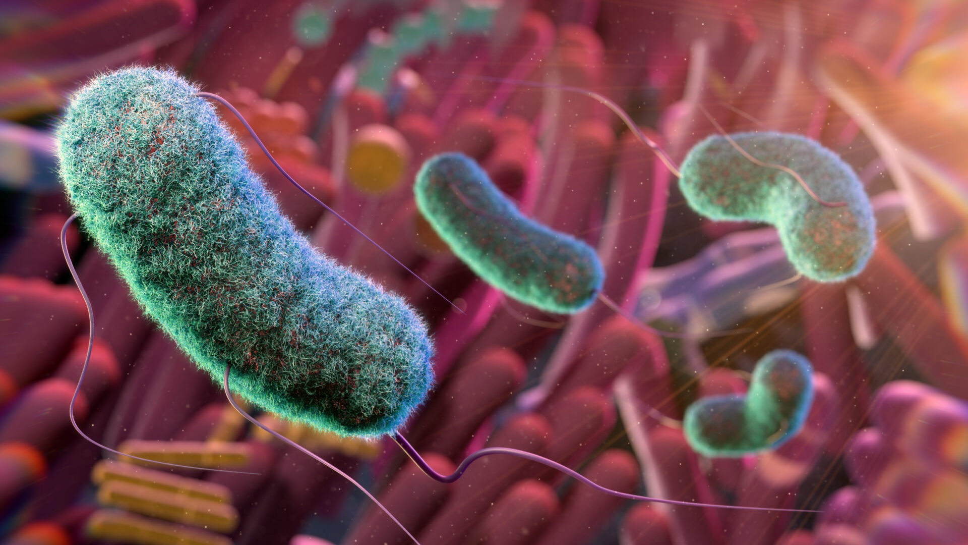 Color-enhanced close-up of rod-shaped bacteria with long flagella, shown in a vibrant abstract background.