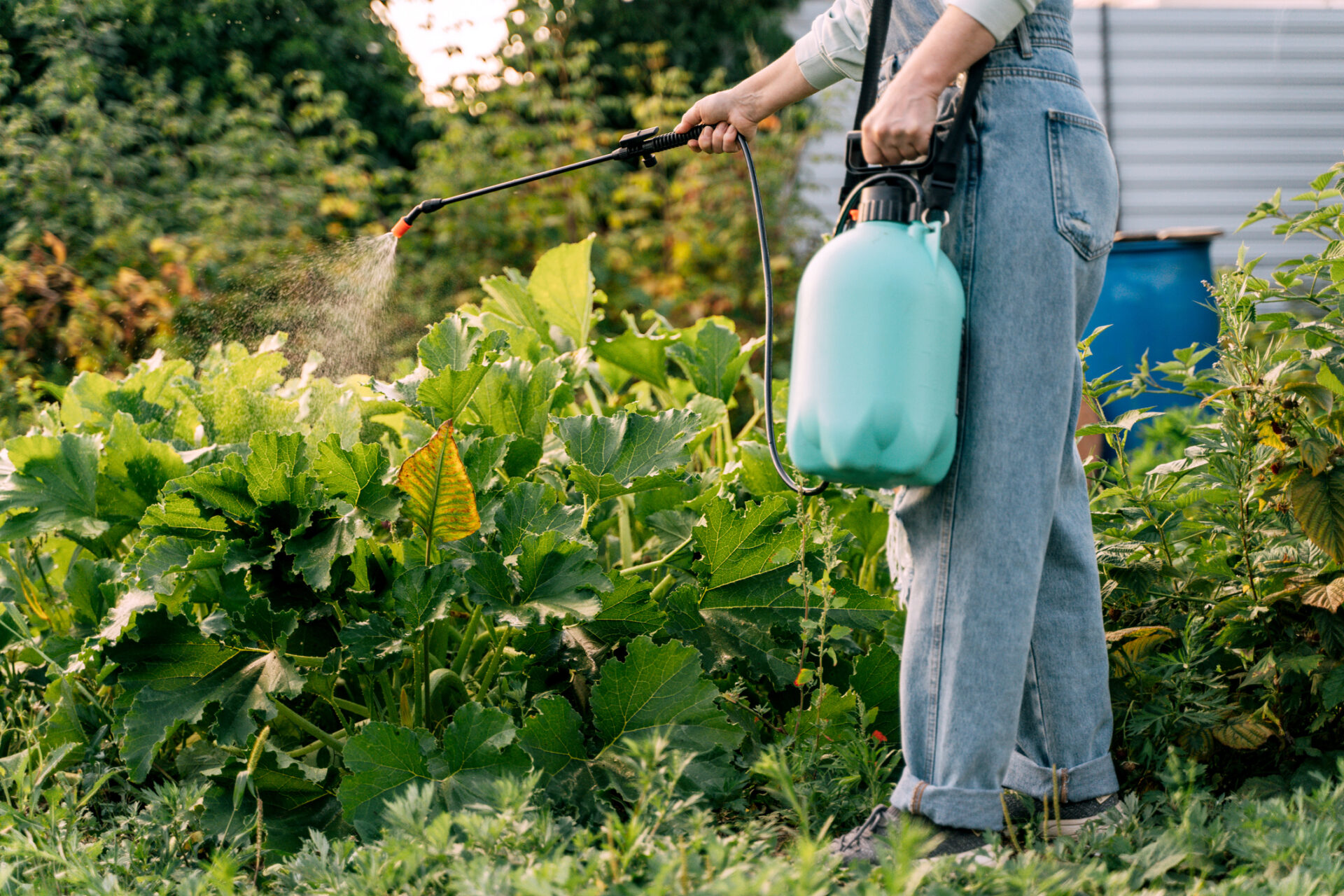 Workers’ pesticide exposure linked to 60-70% heightened motor neuron disease risk